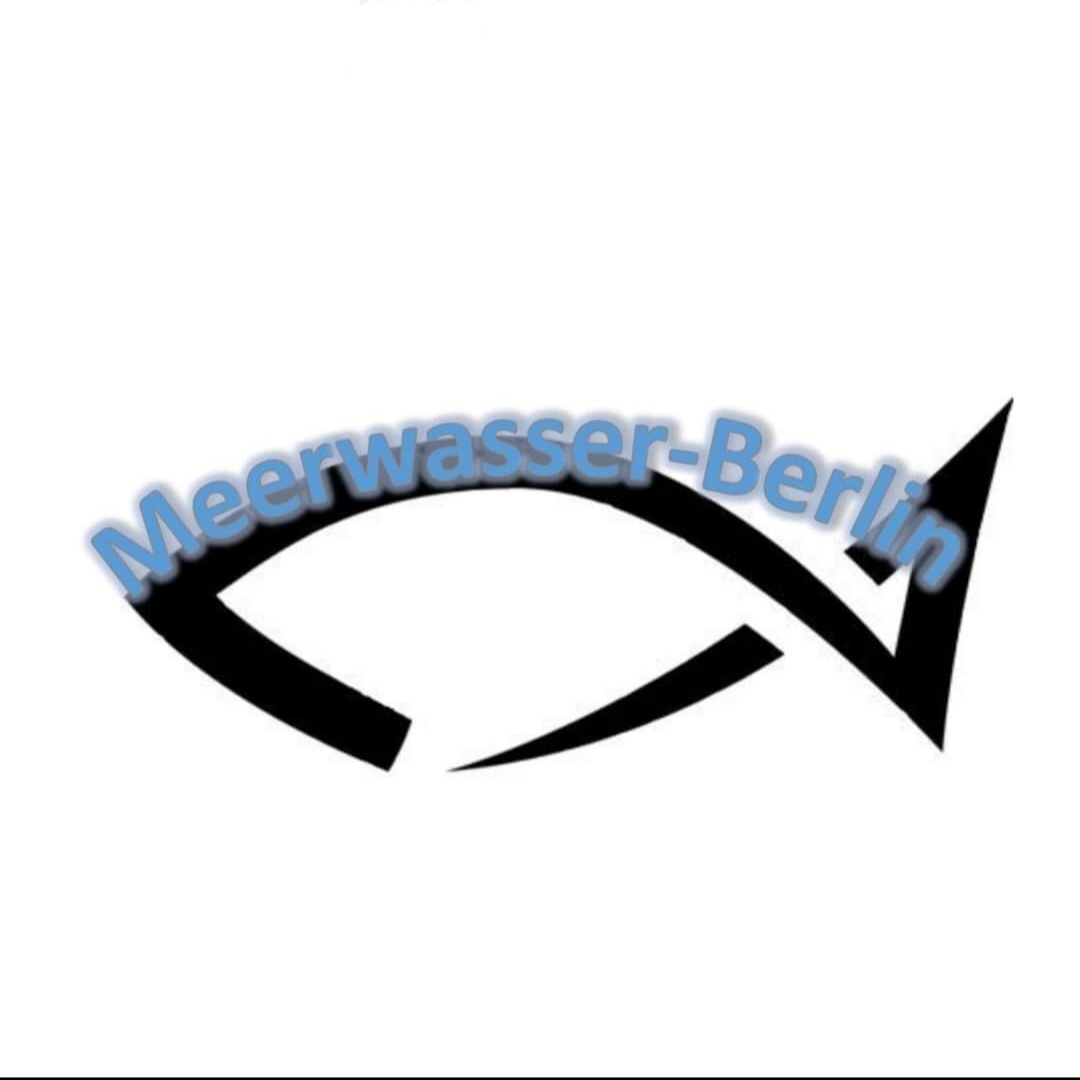 Zur Startseite gehen